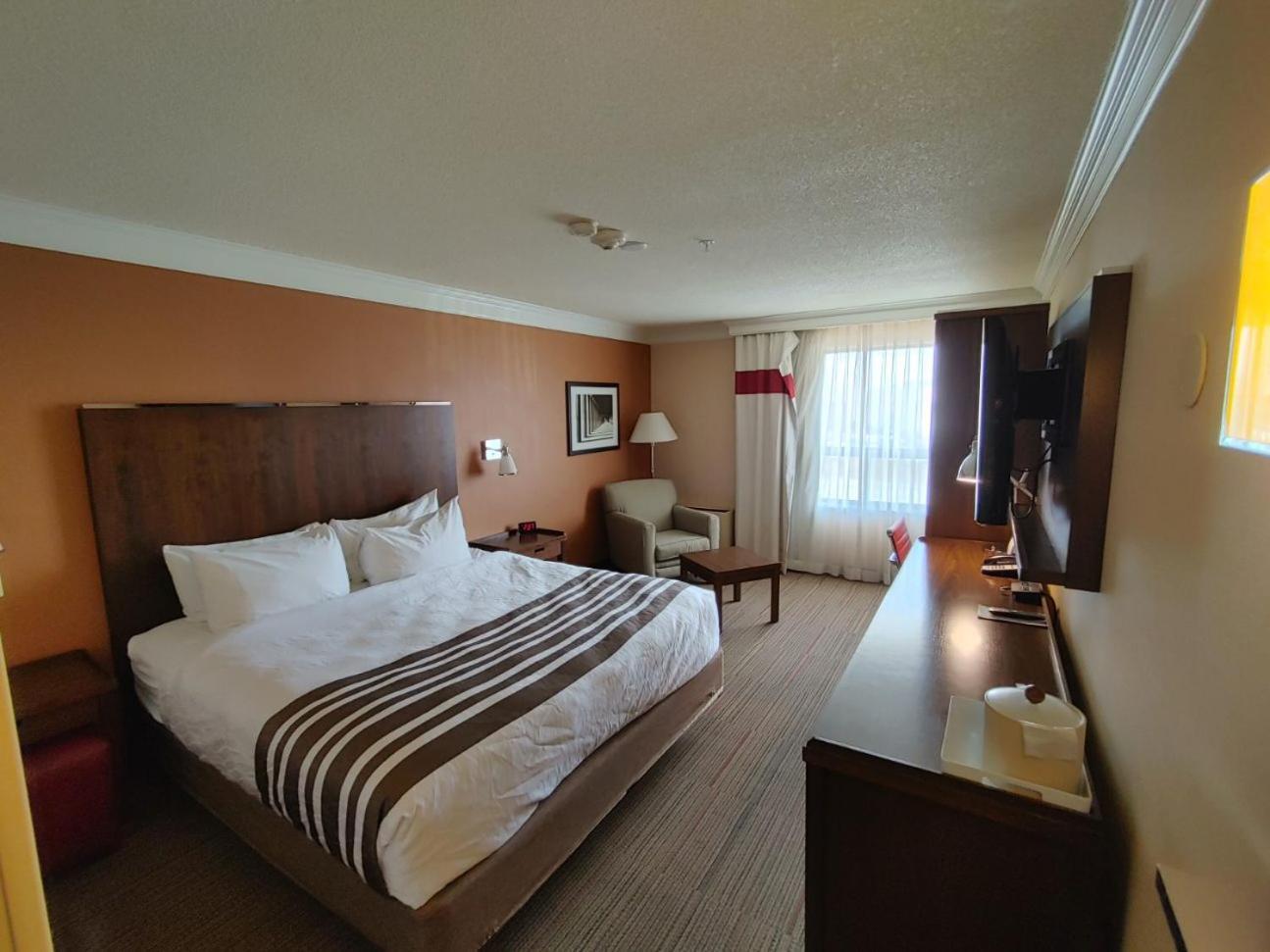Waterloo Suites Hotel, Trademark Collection By Wyndham Eksteriør bilde